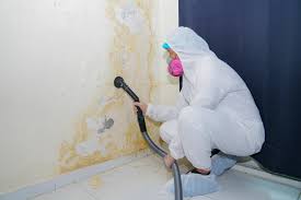 Best Mold Damage Restoration  in South Wilton, CT